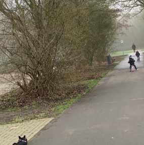 Mariska, Babysitter in Winschoten