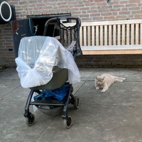 Damla, Gezin in Nieuwerkerk aan den IJssel