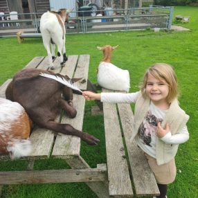 Nynke, Family in Haaren