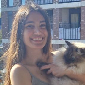 Narges, Oppas in Bergen op Zoom
