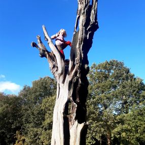 Nynke Susan, Gezin in Dronryp