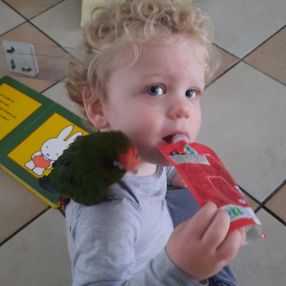 Samantha, Gezin in Den Helder