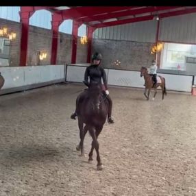 Nina, Oppas in Spijkenisse