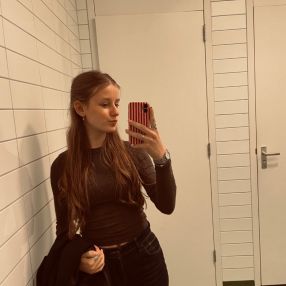 Sanne van Dijk, Babysitter in Hurdegaryp