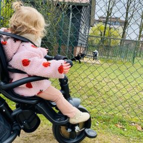 Sanne, Gezin in Lichtenvoorde