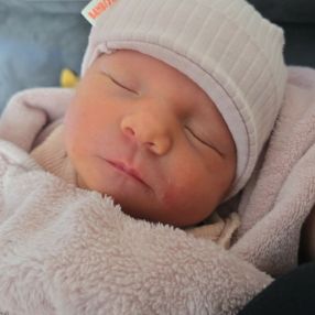 Vivian, Gezin in Someren