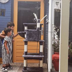 Soraya, Gezin in Boxtel