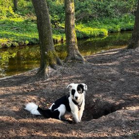 Sanne, Gezin in Heemskerk