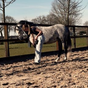 Evi, Oppas in Vriezenveen