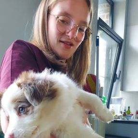 Daphne, Oppas in Hasselt
