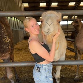 Sterre, Babysitter in Sneek