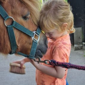 Elvira, Gezin in Voorschoten