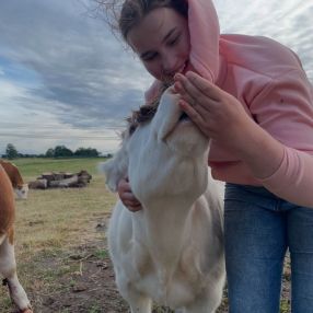 Eline, Babysitter in Brielle