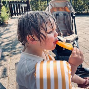 Noor, Gezin in Laren