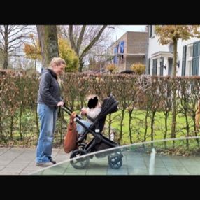 Milou, Babysitter in Geldrop