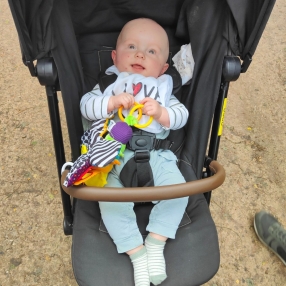 Laura, Family in Weerselo