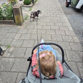 Stephanie, Gezin in Zaandam