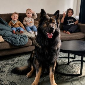 Maja, Family in Huizen