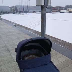 Alina, Family in Hilversum