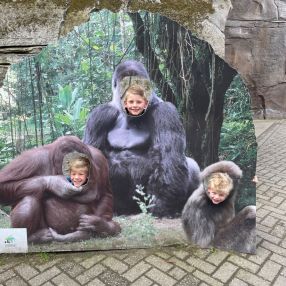 Petra, Gezin in Lisse