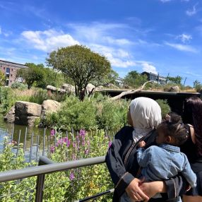 Saabrin, Gezin in Purmerend