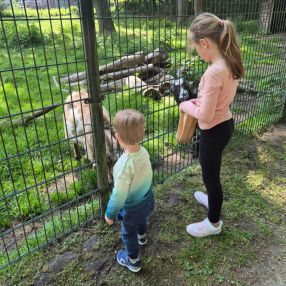 Joyce, Gezin in Heerlen