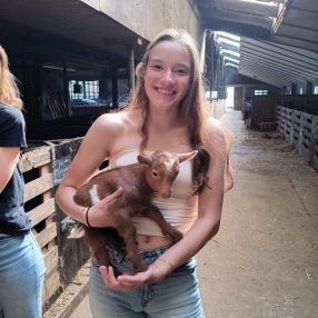 Daniëlle, Babysitter in Grijpskerk