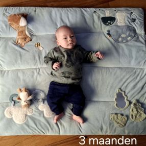 Eline, Gezin in Nieuwegein