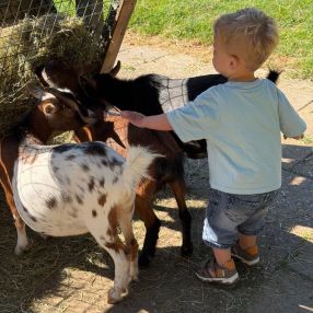 Marrin, Family in Sneek