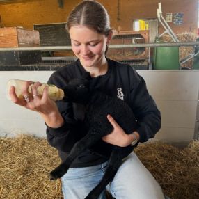 Lisa, Babysitter in Oosterwolde
