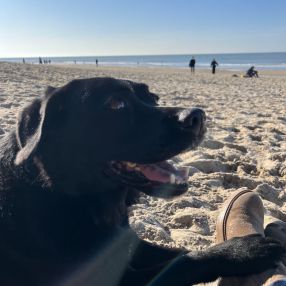 Leonie, Gezin in Zuidlaren