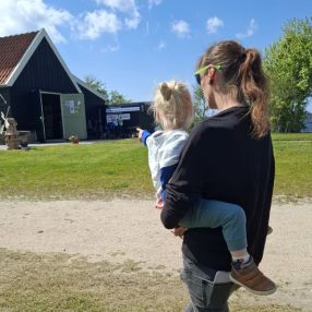Fawn, Family in Noordwijkerhout