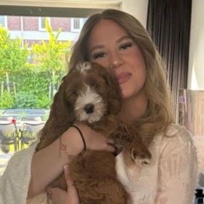 Sterre, Babysitter in Bemmel