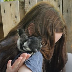 Robin, Babysitter in Sleeuwijk