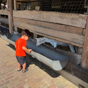 Zaineb, Gezin in Haarlem