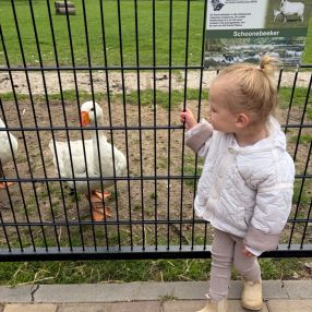 Iris, Family in Dronten