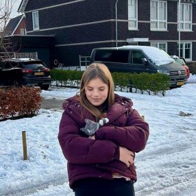 Jade, Babysitter in Numansdorp