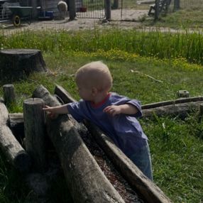 Indy, Family in Zwolle