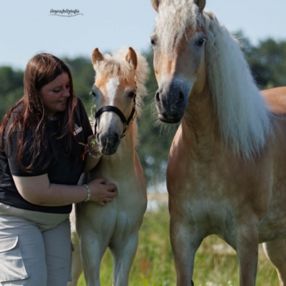 Yanouk, Oppas in Onderdijk