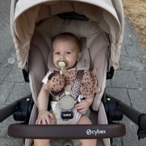 Isabelle, Family in Nuenen