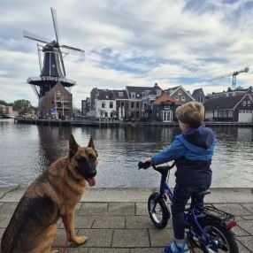 Harlie, Gezin in Halfweg