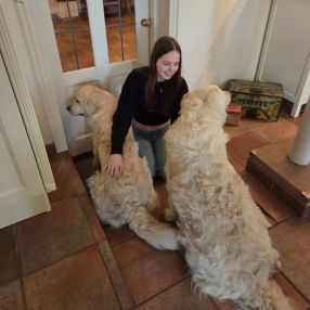 Eva, Babysitter in Voorhout