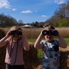 Esther, Family in Assen