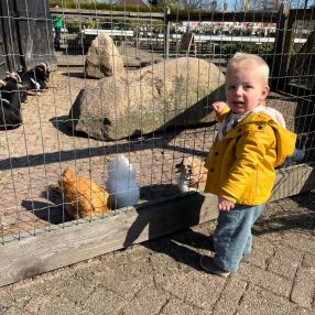 Stevin, Family in Soest