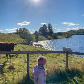 Suvi, Familie i Oslo