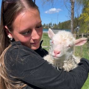 Kaisa Kanutta, Babysitter in Oslo