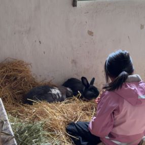 Lene, Familie i Trondheim
