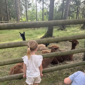 Ann-Jeanette, Familie i Konnerud