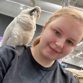 Iselin, Babysitter in Kolbotn