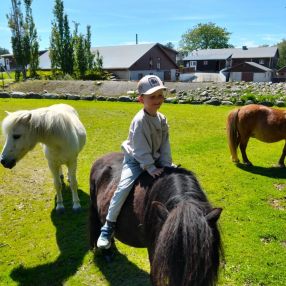 Gytis, Familie i Horten